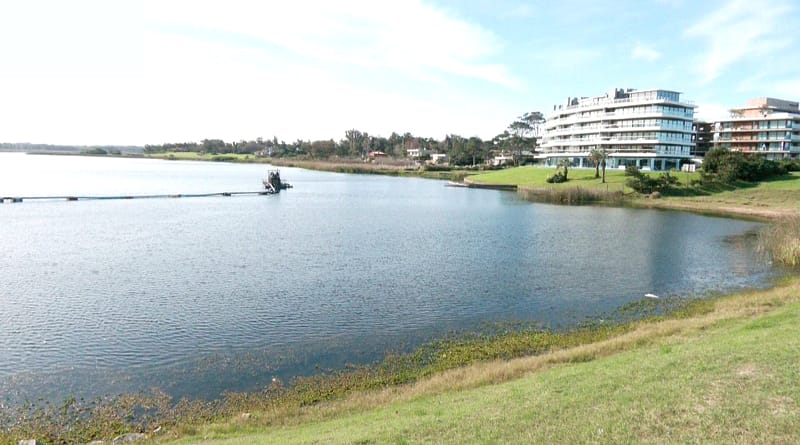 Laguna del diario